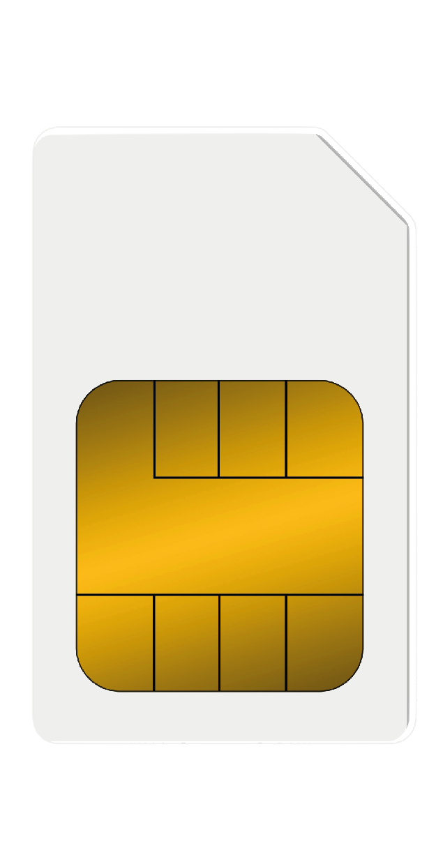 250 MB SIM Card